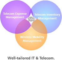 Telecom Value Management